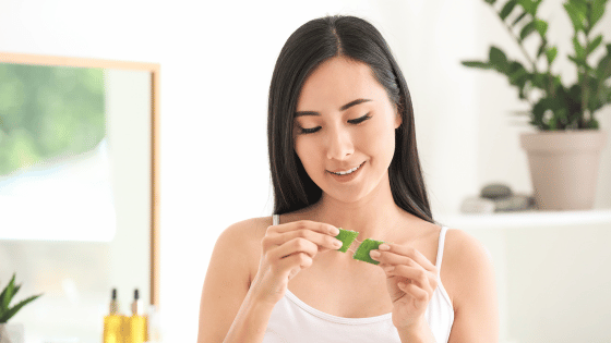 Everything you Need to Know about Jeju&nbsp;Aloe